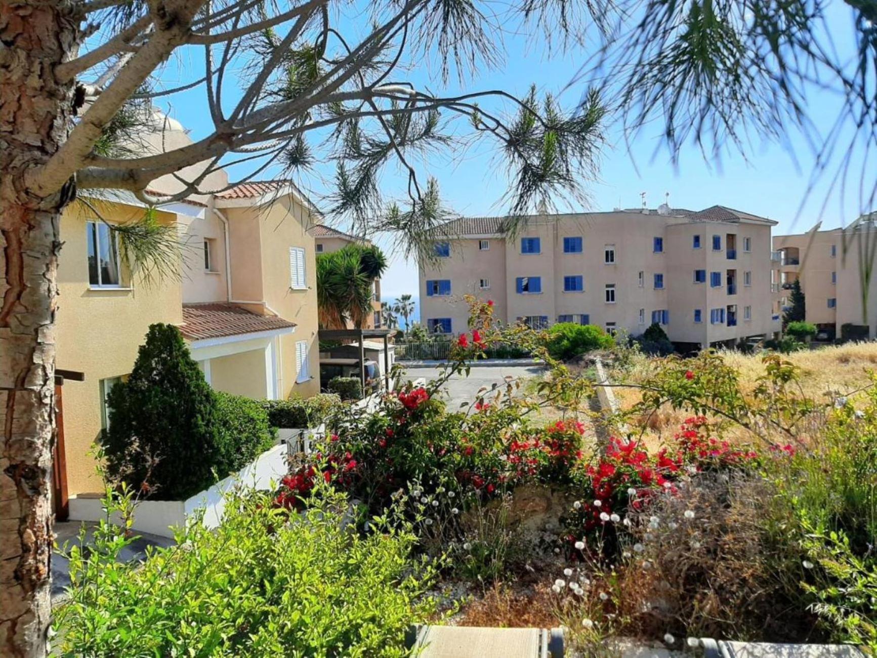 H&O Danaos Sea Breeze Apartment Paphos Eksteriør bilde